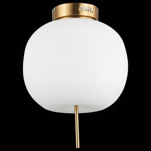 Накладной светильник ST Luce Lacus SL1621.202.01