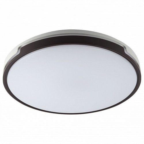 Потолочный светодиодный светильник ЭРА Классик с ДУ SPB-6-70-RC Sance Б0051098