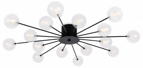 Потолочная люстра Freya Celebrity FR5242CL-16B1