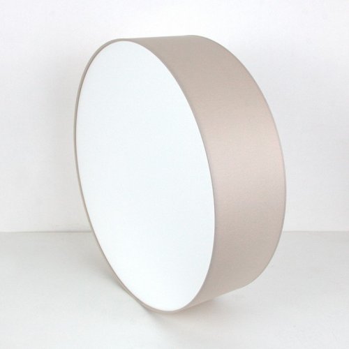 Потолочный светильник Lighthall Camerona 65 LH022006