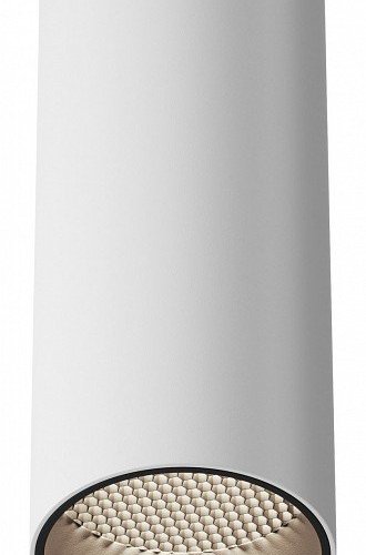 Точечный светильник Maytoni Focus LED C056CL-L12W4K-W-W