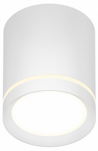 Накладной светодиодный светильник Denkirs DK4016-WH