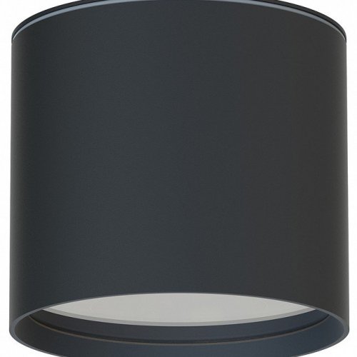 Накладной светильник Favourite Fantum 4663-1U