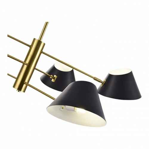 Потолочная люстра Evoluce Norbi SLE1253-343-06