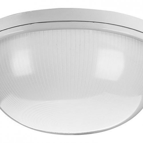 Накладной светильник Wolta  ДПБ03-100-001