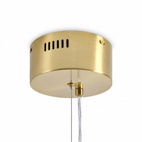 Подвесная люстра Freya Amela FR6138PL-L30BS