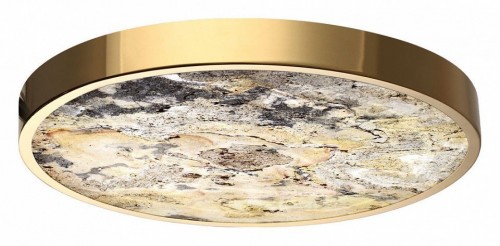 Настенно-потолочный светильник Odeon Light Bergi 5079/40L