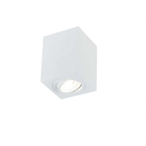 Точечный светильник Simple Story 2038 2038-1CLW