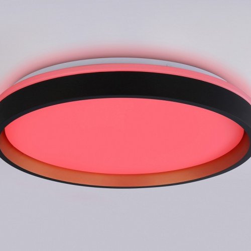 Накладной светильник Ambrella Light FZ FZ610