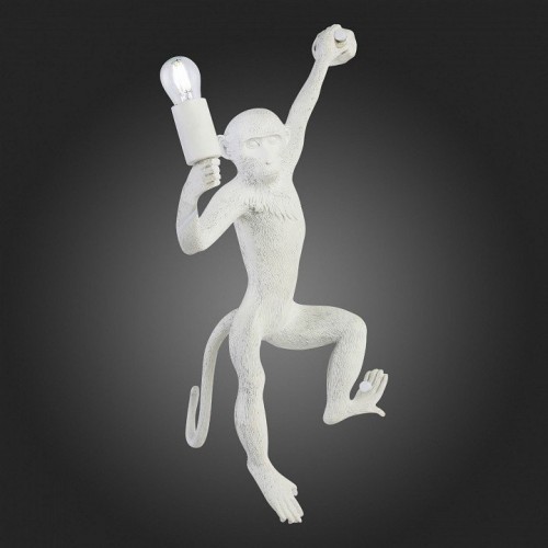 Бра Evoluce Tenato SLE115111-01 Бра Evoluce Tenato SLE115111-01