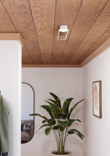 Настенно-потолочный светильник Eglo Collecorvino 902152