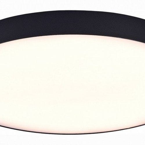 Потолочный светодиодный светильник ST Luce ST606.432.96