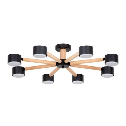 Потолочная люстра Tenda A1624PL-8BK