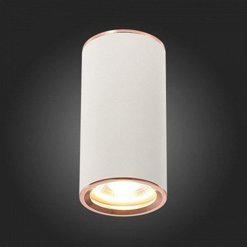 Накладной светильник ST Luce Chomus ST111.527.01 Накладной светильник ST Luce Chomus ST111.527.01