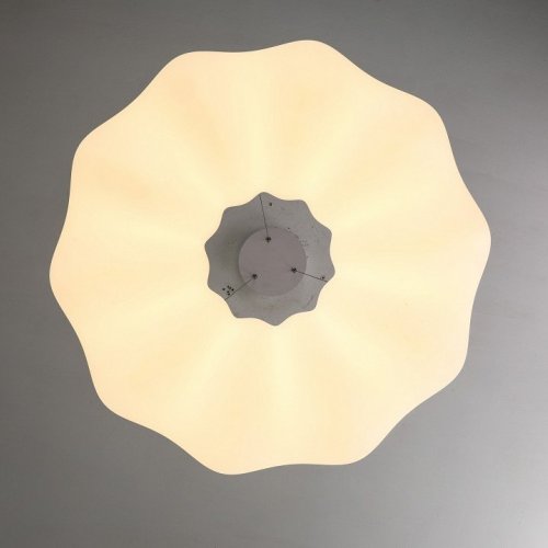 Подвесной светильник Soft ZRS.1119.02