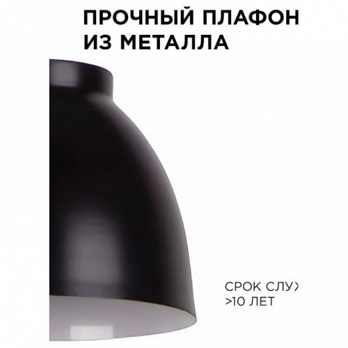 Подвесной светильник Apeyron Electrics  16-65