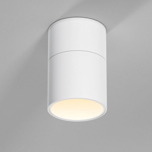 Потолочный светильник Elektrostandard 25112/LED a067486 Потолочный светильник Elektrostandard 25112/LED a067486