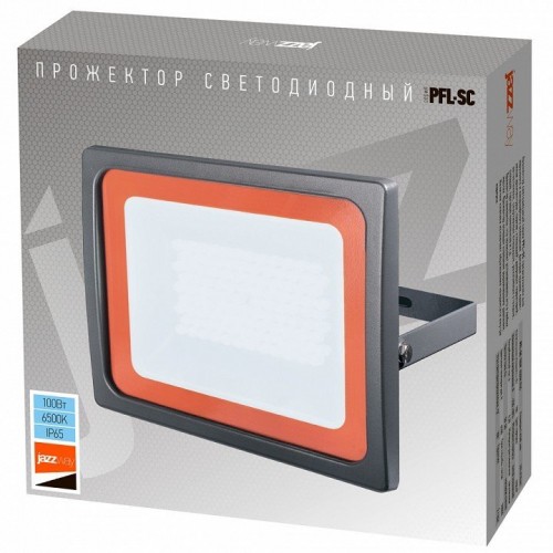 Настенно-потолочный прожектор Jazzway  PFL-SC-100W 6500K IP65