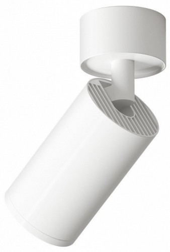 Накладной светильник Denkirs DK2029-WH