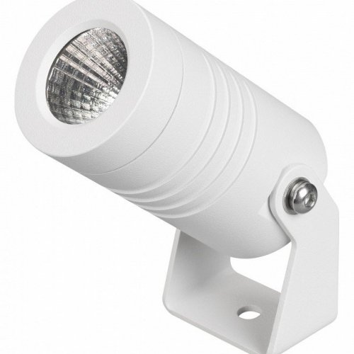Прожектор уличный Arlight RAY 053624