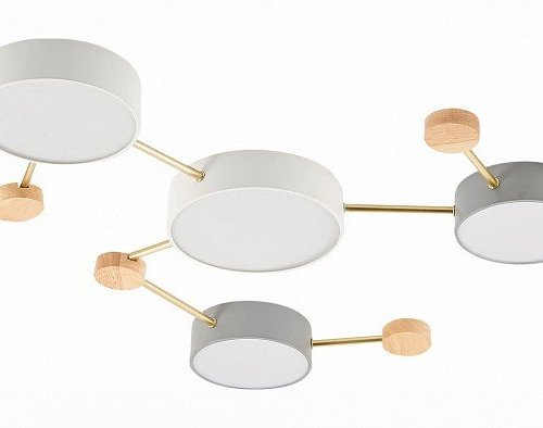 Потолочная люстра Evoluce Dossena SLE600102-06