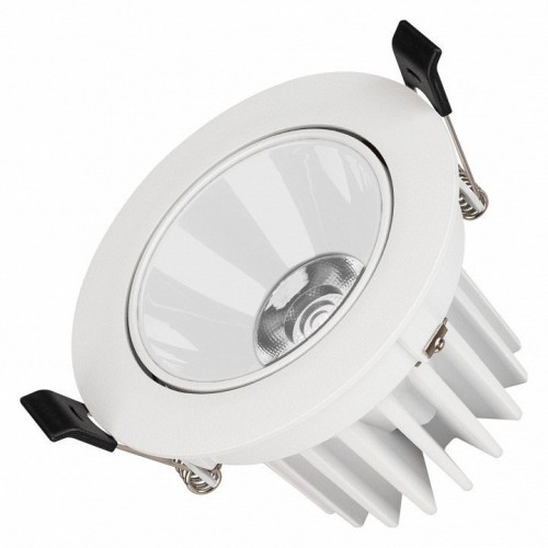 Точечный светильник Arlight FORECAST 037098