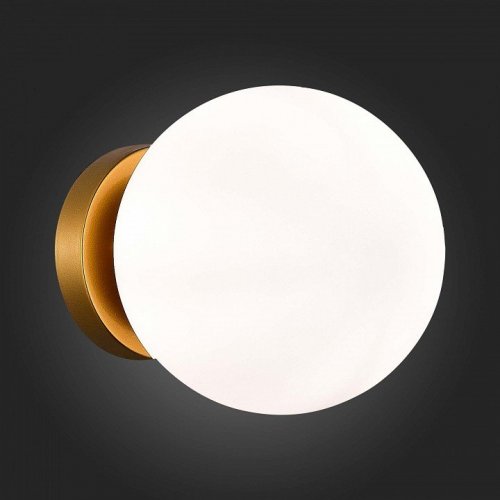 Настенно-потолочный светильник ST Luce Acini SL717.201.01