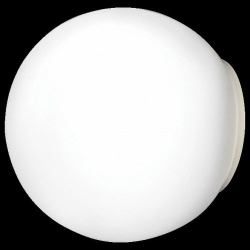 Настенно-потолочный светильник Lightstar Globo 803010