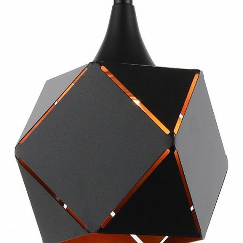 Подвесной светильник ST Luce Enigma SL258.403.03