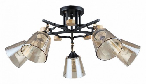 Потолочная люстра Arte Lamp Glassy A5078PL-5BK