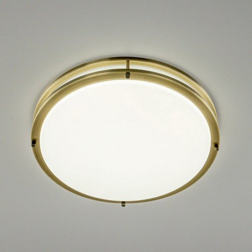 Настенно-потолочный светильник Citilux Бостон CL709503N