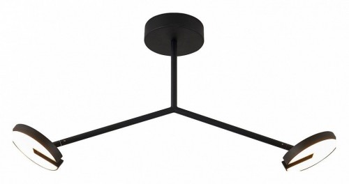 Потолочная люстра Favourite Paritet 4401-2C Потолочная люстра Favourite Paritet 4401-2C