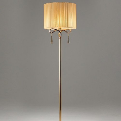 Торшер Moderli Chilly V10546-1F