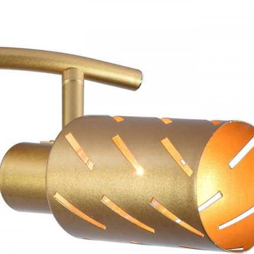 Спот Reluce 05970-0.8-02 GOLD