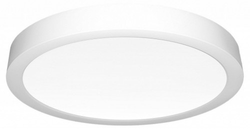 Потолочный светильник Citilux Галс CL5522N