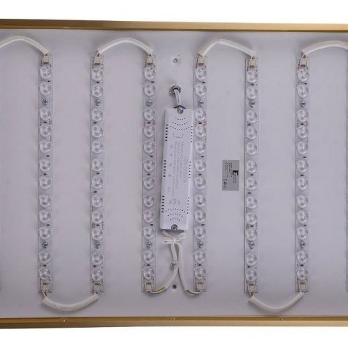 Потолочный светильник Zortes Monna ZRS.1209.09