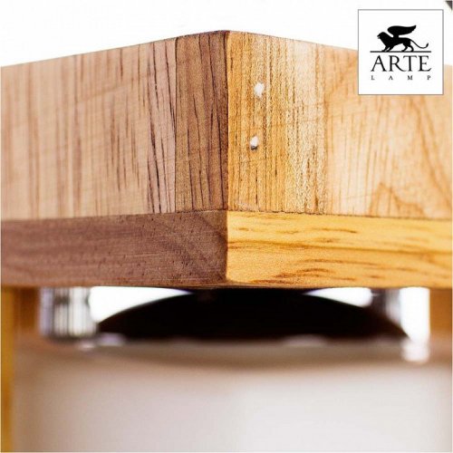 Потолочный светильник Arte Lamp Woods A8252PL-1BR