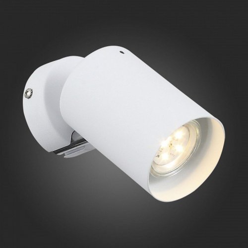 Настенно-потолочный светильник ST Luce Fanale SL597.501.01