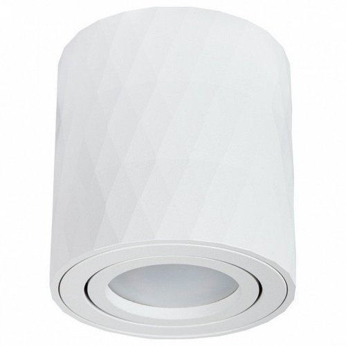 Потолочный светильник Arte Lamp Fang A5559PL-1WH