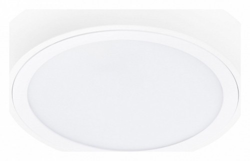 Потолочный светодиодный светильник Lightstar Urbano 216904 Потолочный светодиодный светильник Lightstar Urbano 216904