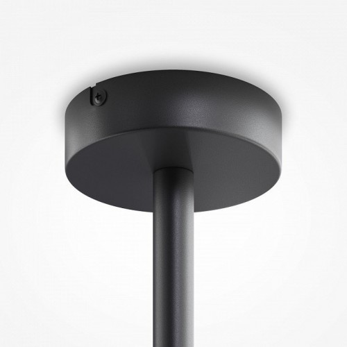 Потолочная люстра Maytoni Memory MOD177PL-12G