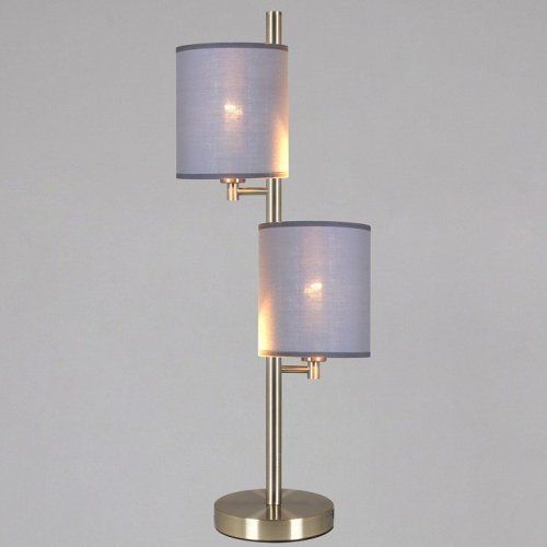 Настольная лампа декоративная ILLUMICO  IL3080-2TSQ-26 AB DS