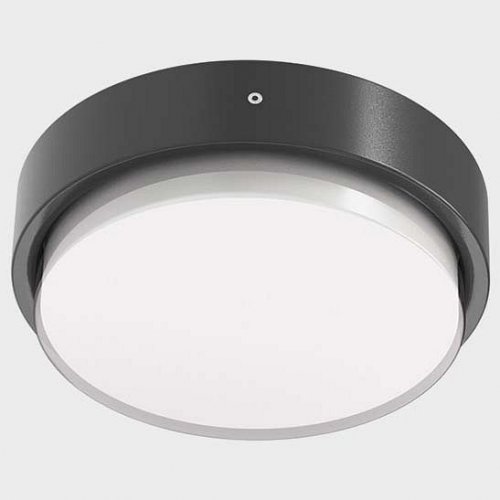 Уличный потолочный светильник Italline IT6026