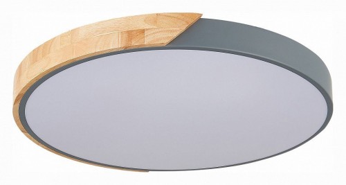 Потолочный светодиодный светильник Evoluce Festa SLE200972-01