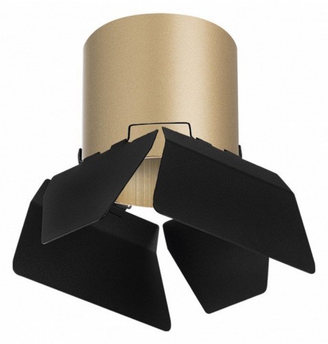 Точечный светильник Lightstar Rullo R3490487