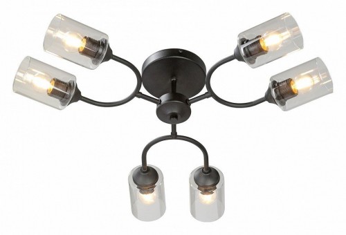 Потолочная люстра Vitaluce V2822-1/6PL