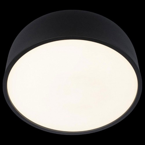 Потолочный светильник Loft IT Axel 10201/350 Black