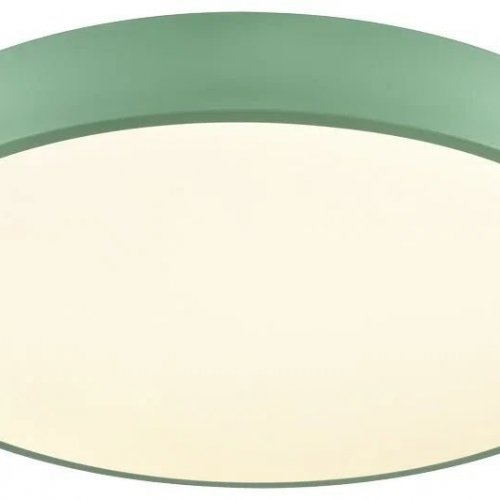 Потолочный светильник 444-427-01 Потолочный светильник 444-427-01