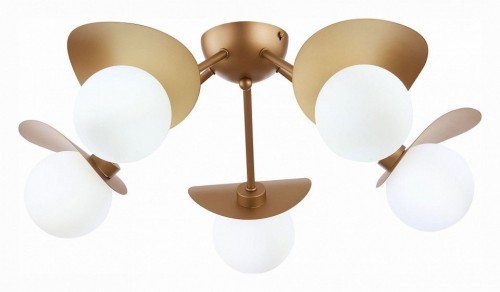 Потолочная люстра Evoluce Bolzano SLE220502-05