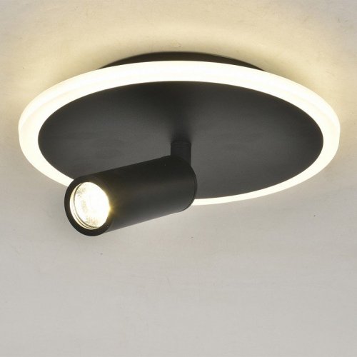 Настенно-потолочный светильник Escada 20046LED 20046SMA/01LED BK